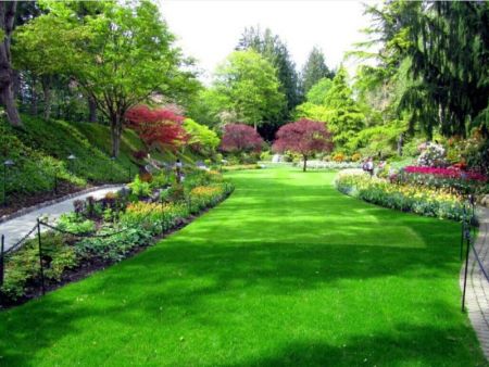 东莞园林绿化养护